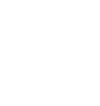 Datasol Logo